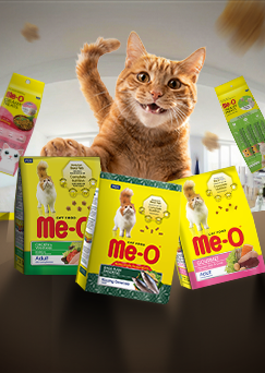 Me-O Indonesia cat food packaging and a cat